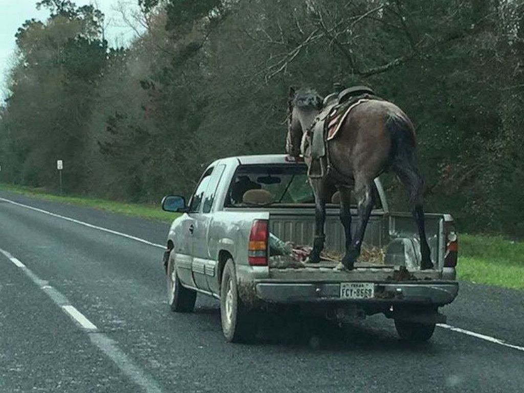 49-Dumb-Moments-Road-Left-People-Speechless-Reddit.jpg.optimal.jpg