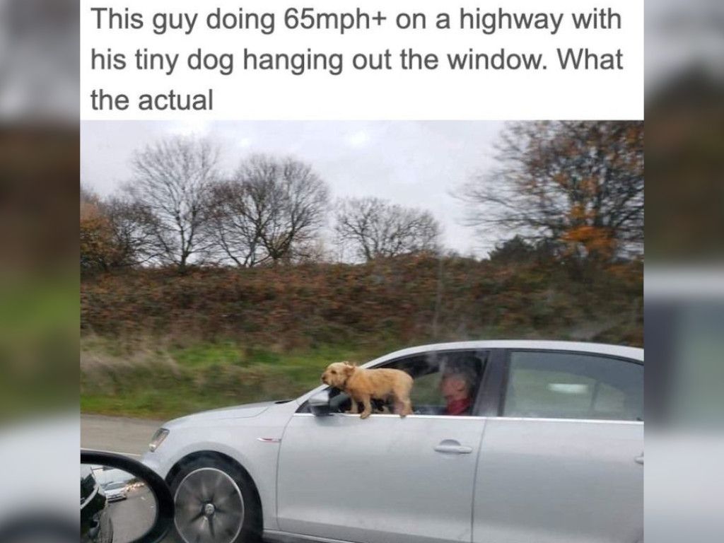 7-Dumb-Moments-Road-Left-People-Speechless-reddit-SovietJugernaut.jpg.optimal.jpg