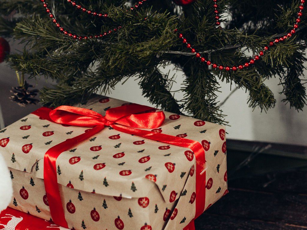 brown-gift-box-under-green-christmas-tree-1734427pexels.jpg.optimal.jpg