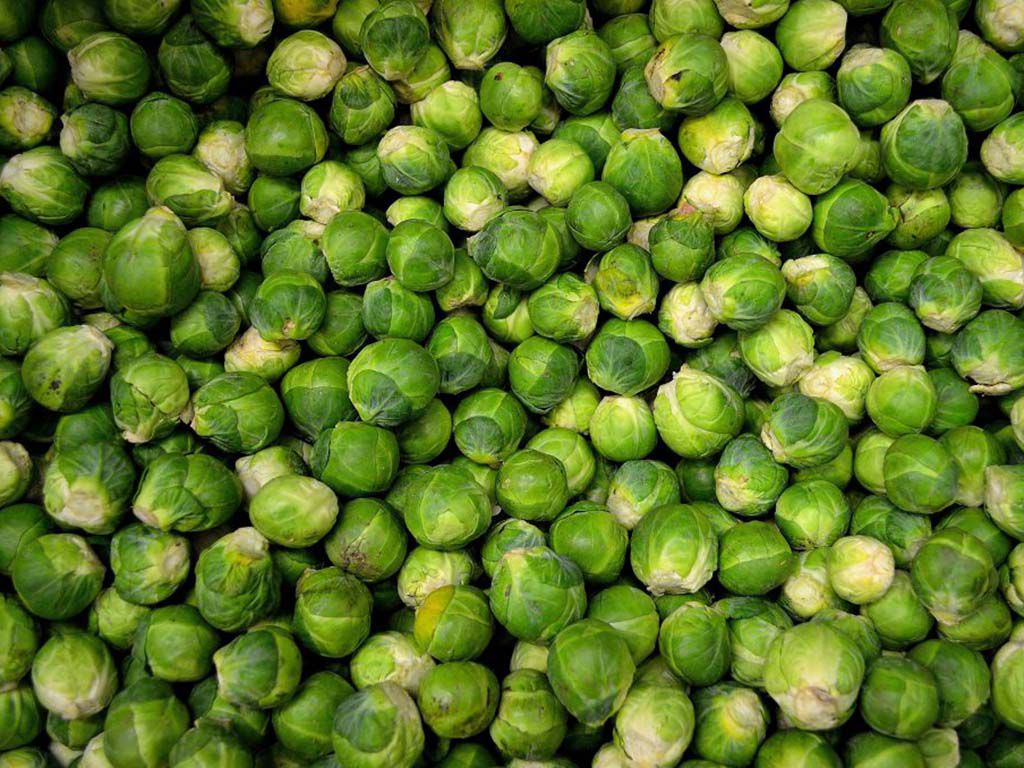 resizebrussels-sprouts-22009-1024x678-1.jpg.optimal.jpg