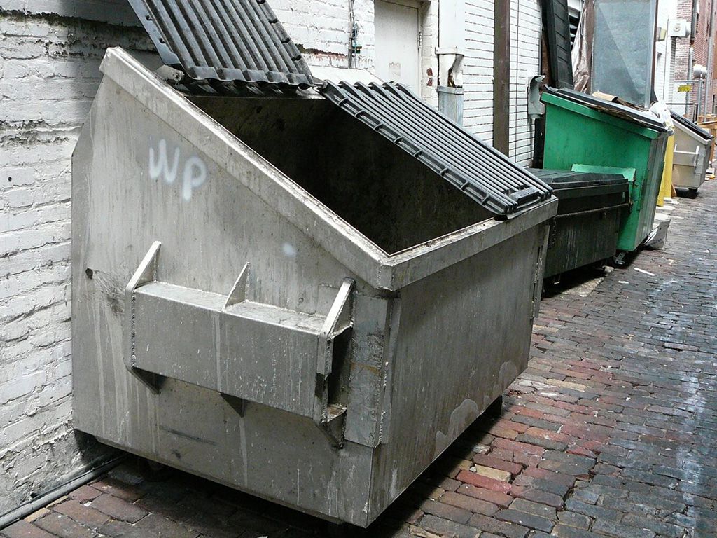 resizedumpster-1517830_1920-1536x1020-1.jpg.optimal.jpg