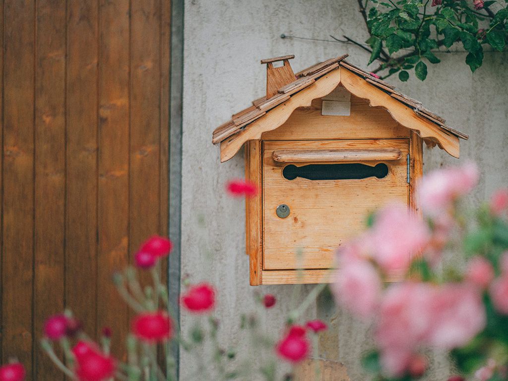 resizeegor-myznik-goqv5ZsmjfY-unsplash-2048x1363-1.jpg.optimal.jpg