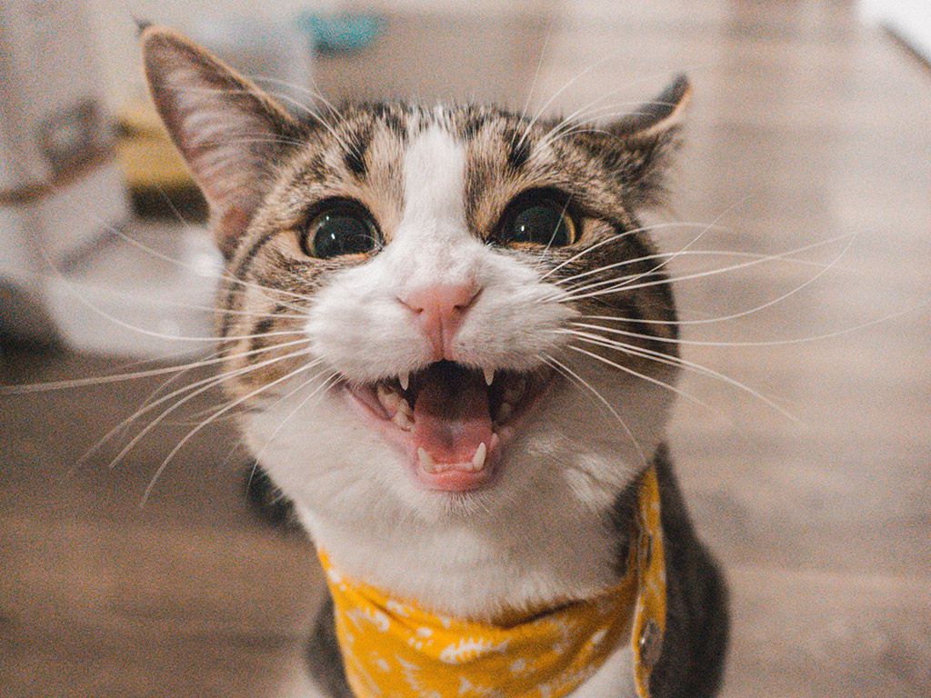 resizejae-park-7GX5aICb5i4-unsplash.jpg.optimal.jpg