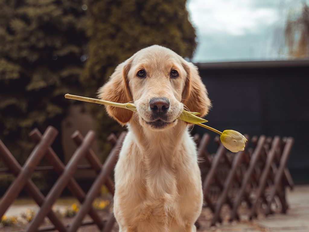 resizerichard-brutyo-Sg3XwuEpybU-unsplash.jpg.optimal.jpg