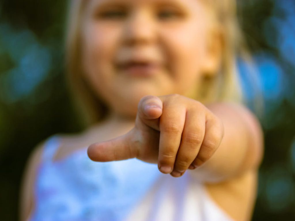 resizeshutterstock_2014895396-768x512-1.jpg.optimal.jpg
