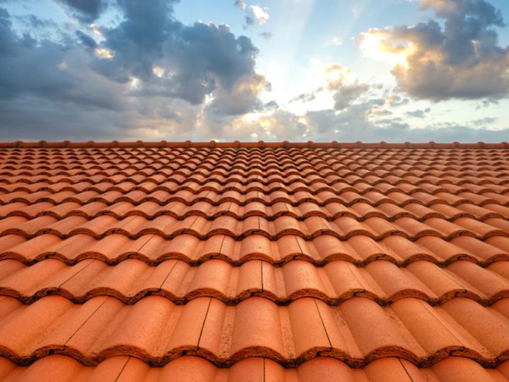 resizeshutterstock_292792253-768x512-1.jpg.optimal.jpg