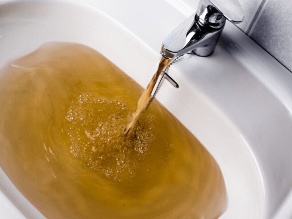 resizeshutterstock_410324437-768x493-1.jpg.optimal.jpg