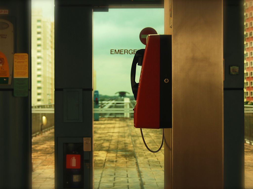 resizevictor-he-8wOToN7KeQ4-unsplash.jpg.optimal.jpg