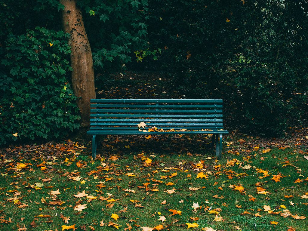 resizewill-paterson-zb13N8EDjGE-unsplash.jpg.optimal.jpg