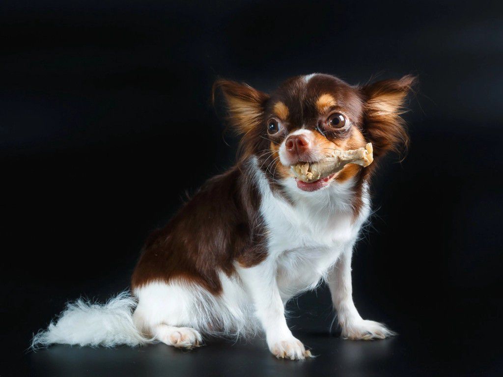 shutterstock_1397033546.jpg.optimal.jpg