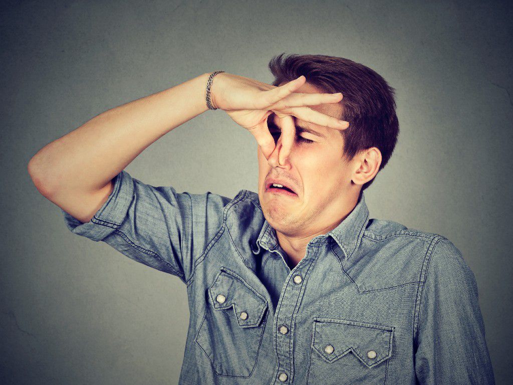 shutterstock_493339552.jpg.optimal.jpg