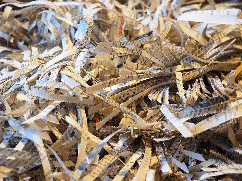 7-shredder-779853_1920.jpg