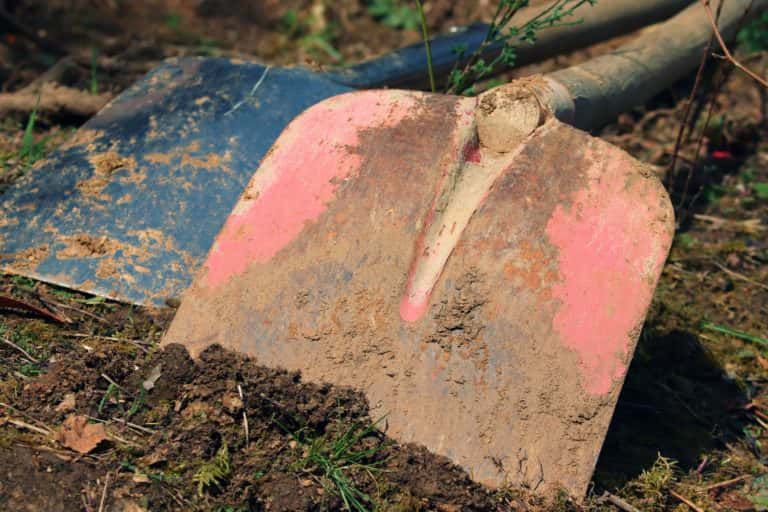 MaxPixel.net-Topsoil-Gardening-Garden-Soil-Earth-Garden-Shovel-4931739-768x512-1.jpg.optimal.jpg