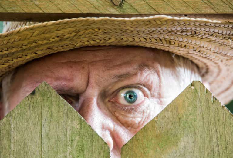 shutterstock_1148891084-768x522-1.jpg.optimal.jpg