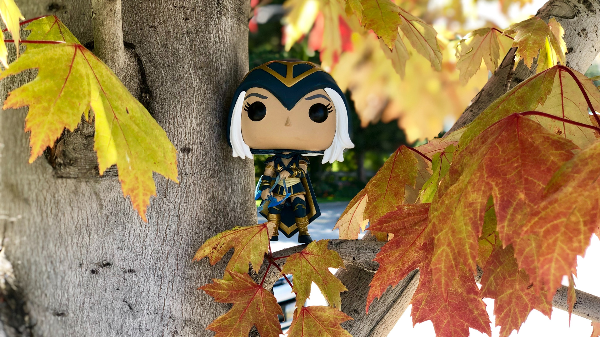 Wtfast-Wawr4Jmjlme-Unsplash