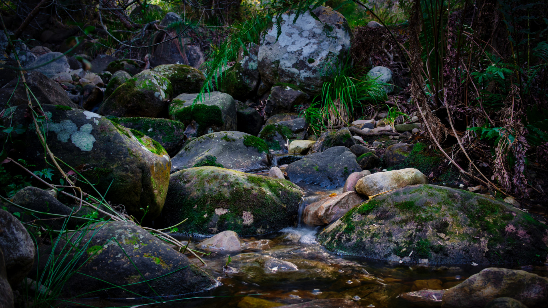 Chris-Rhoads-F Ycd8Enz2C-Unsplash