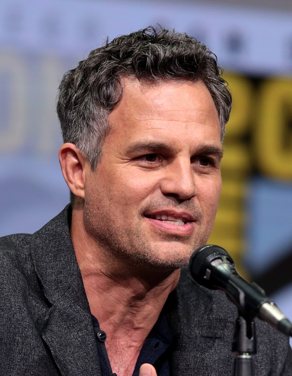 1024Px-Mark Ruffalo (36243137665) (Cropped)