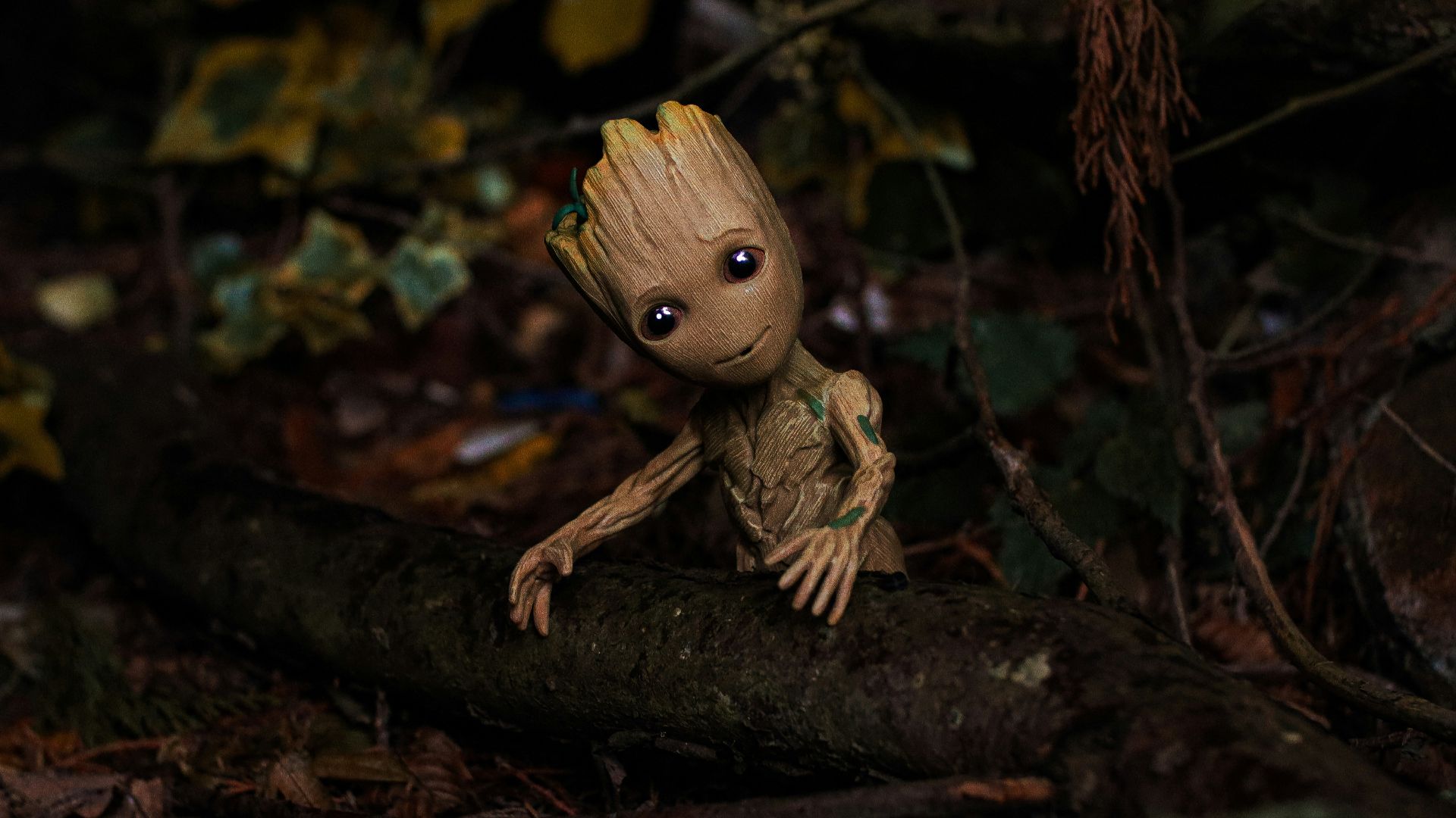 a small baby groote sitting on a log in the woods