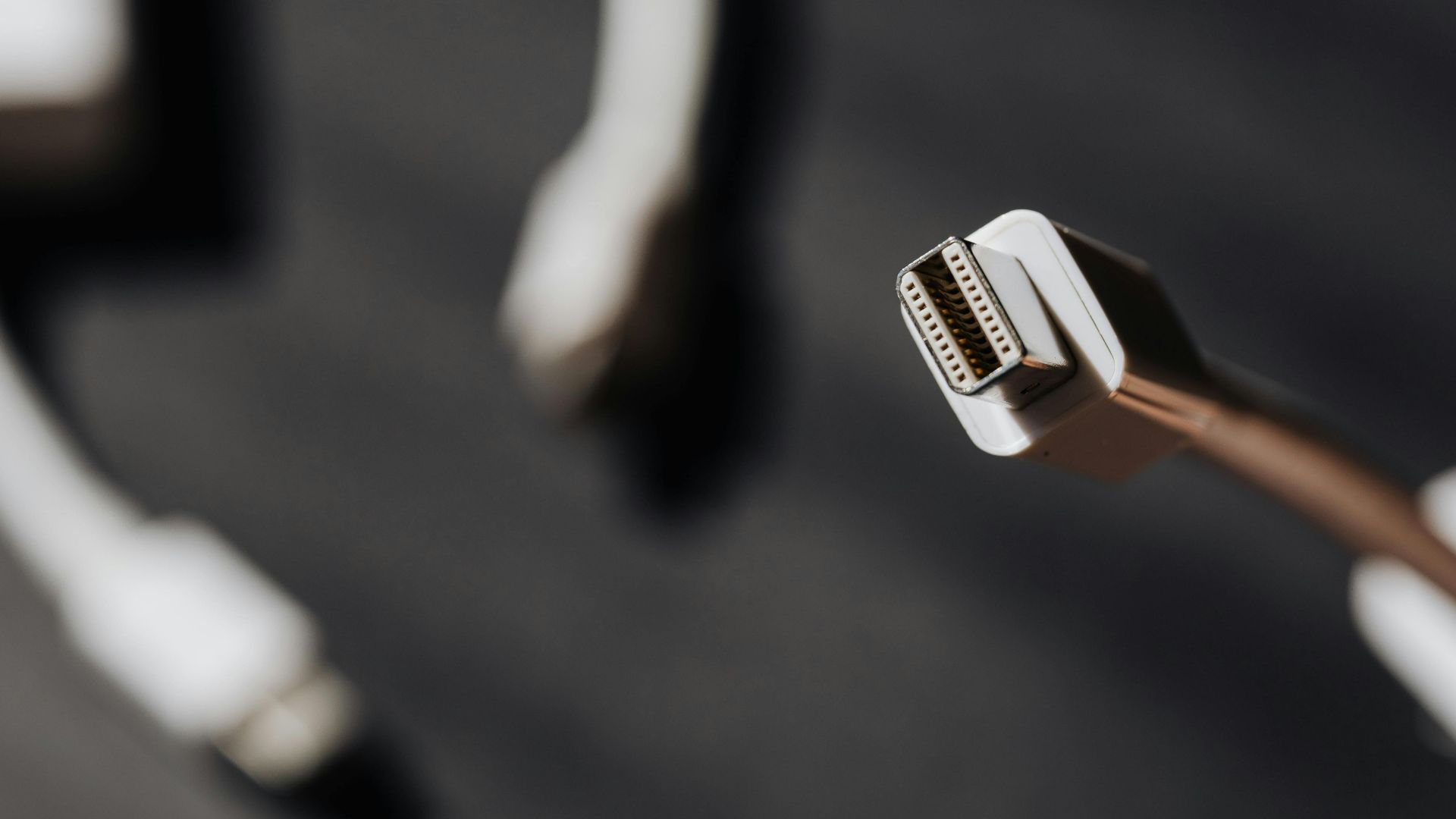 Photo By: Kaboompics.com