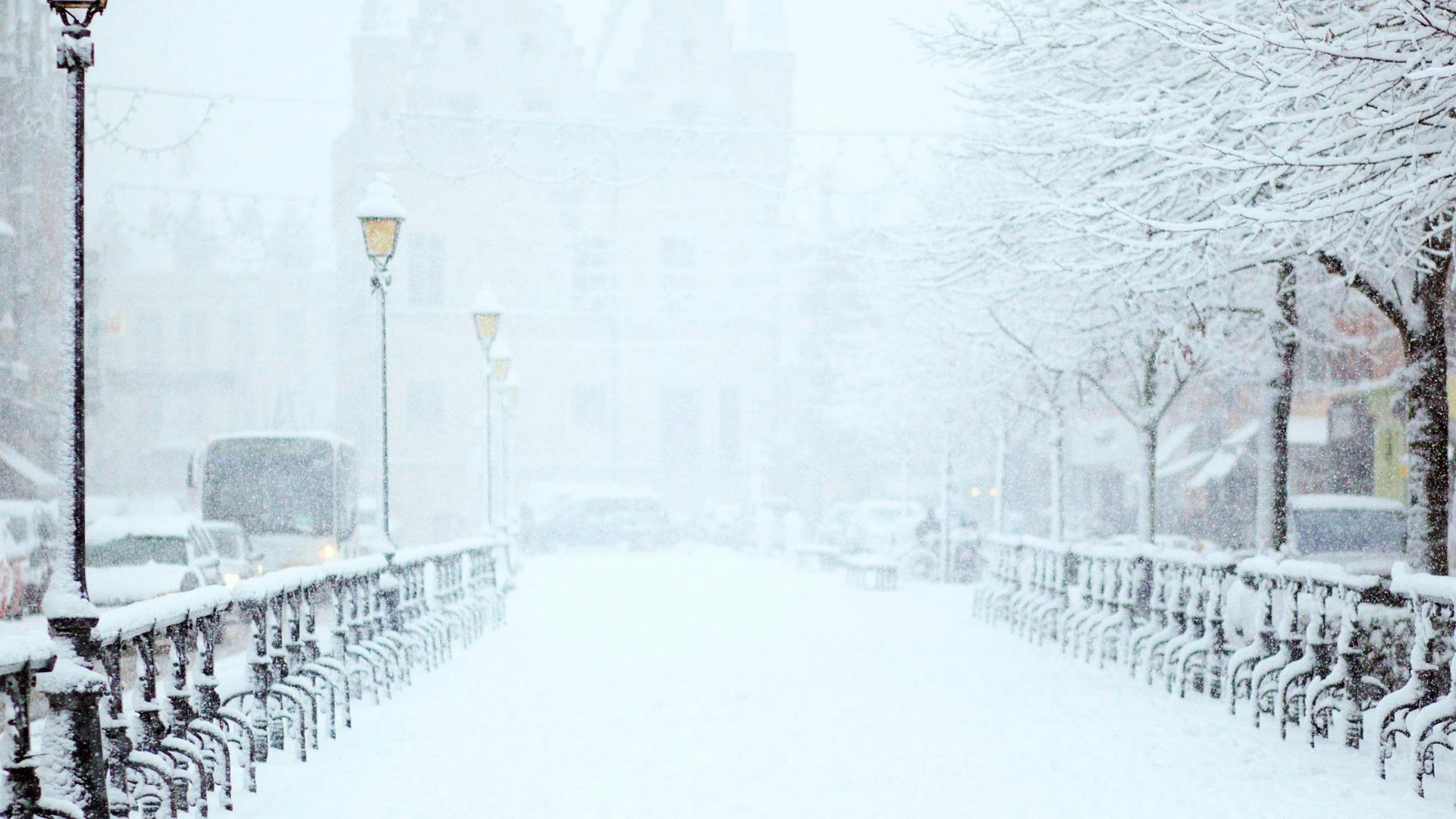 road covered by snow near vehicle traveling at daytime