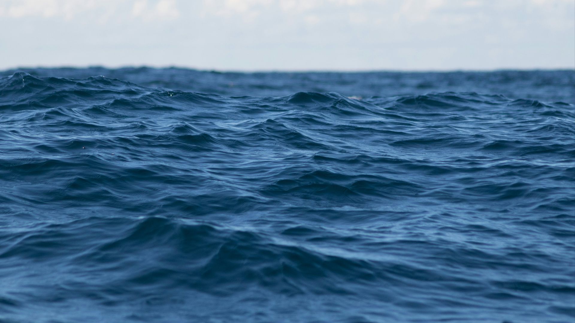 sea under clear blue sky