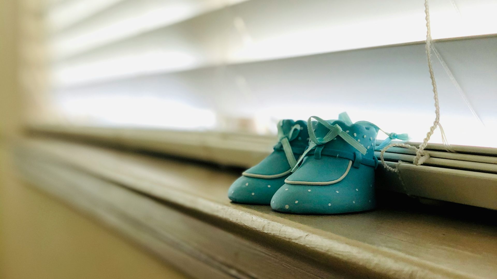 green leather boots on window