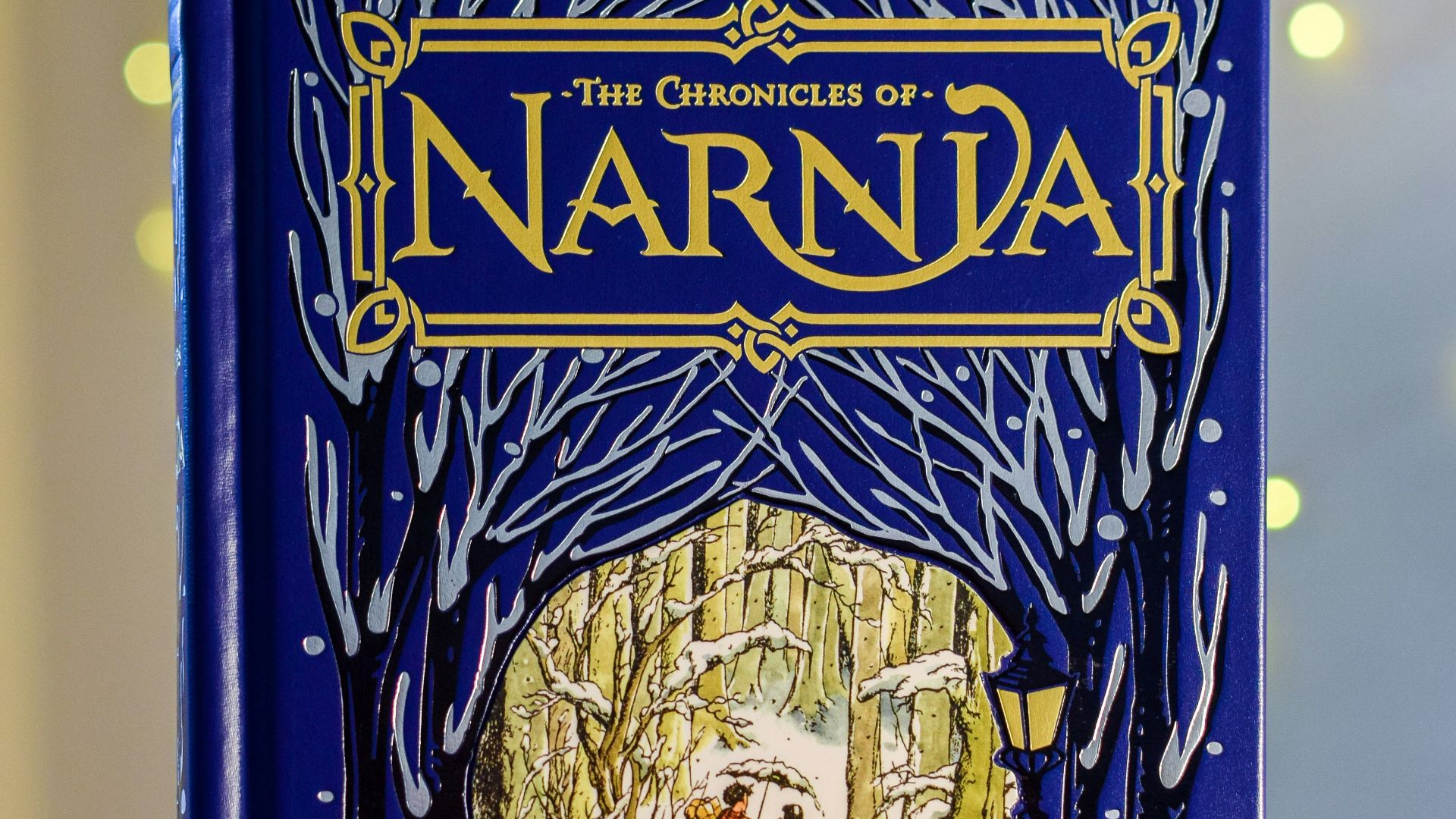 a blue book with a picture of a man walking through the woods