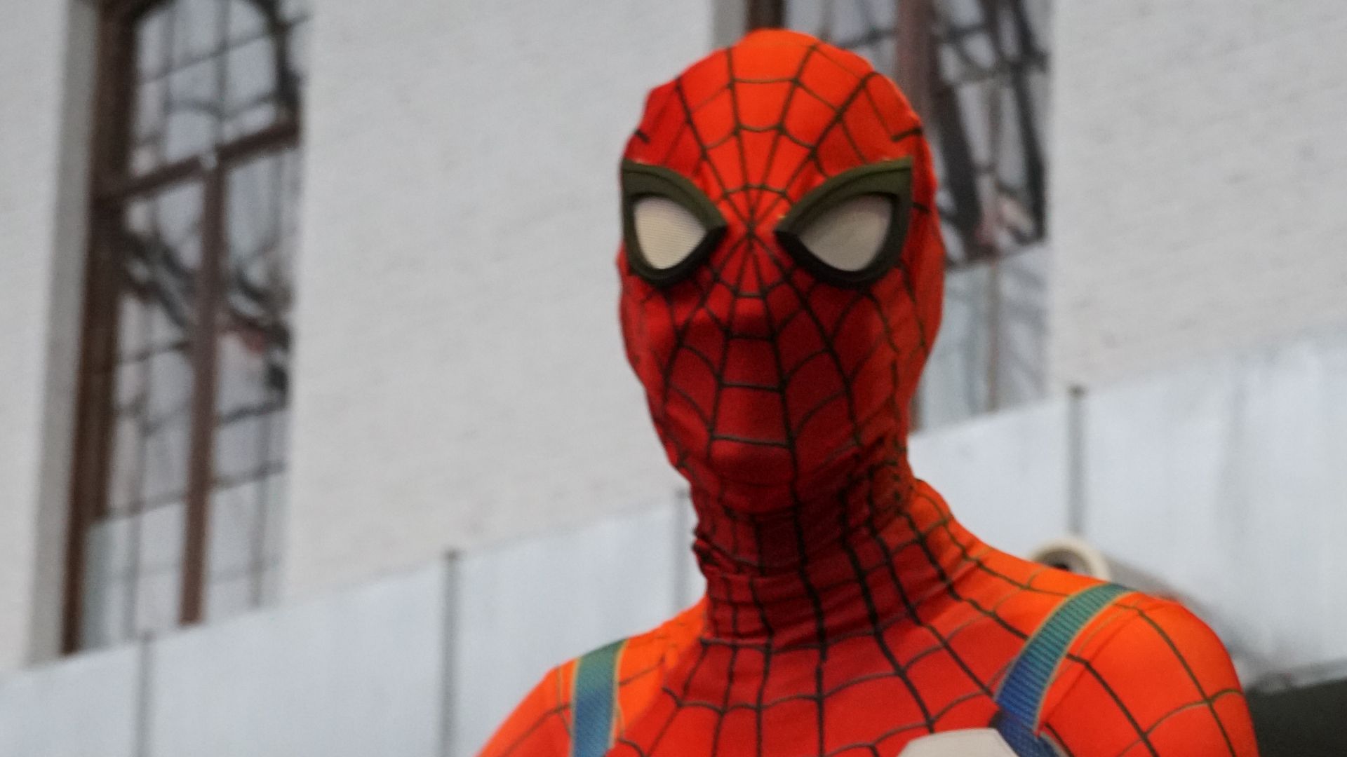File:Cosplay of Spider-Man at Brussels Comic Con 2019 (40335908293).jpg