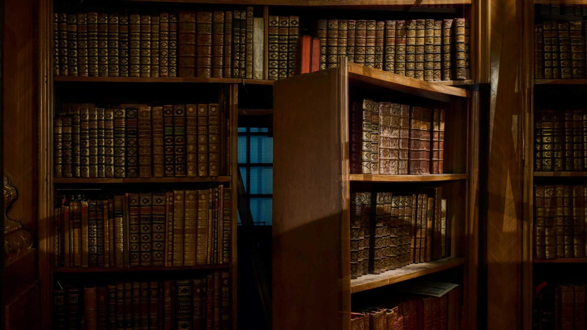 opened secret door inside library