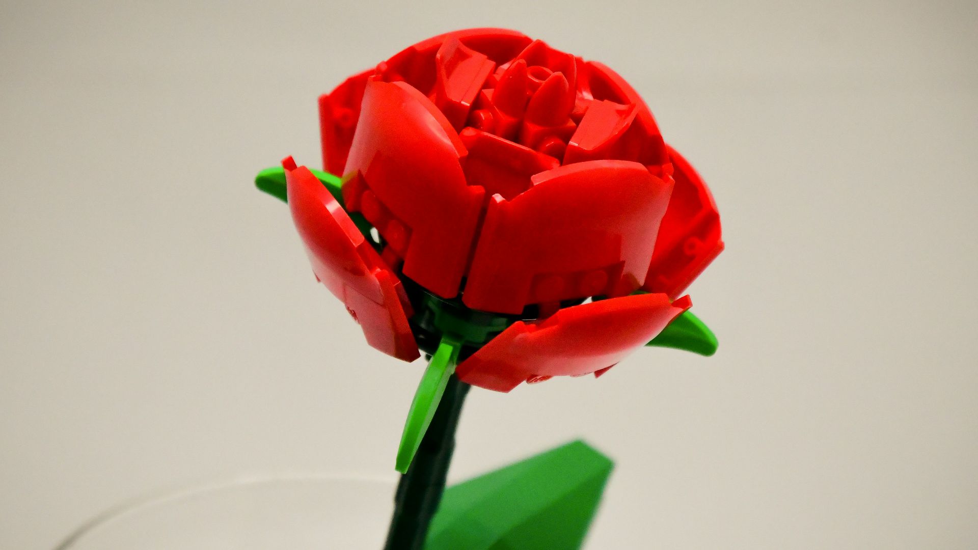 A single red rose in a clear glass vase