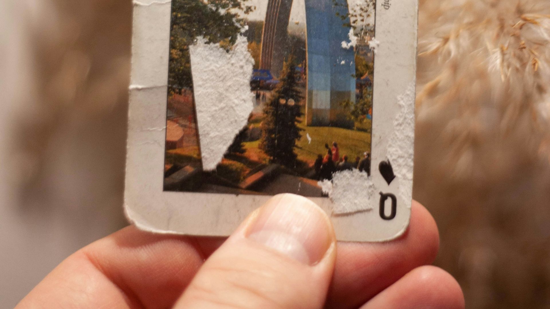 person holding a white and black card