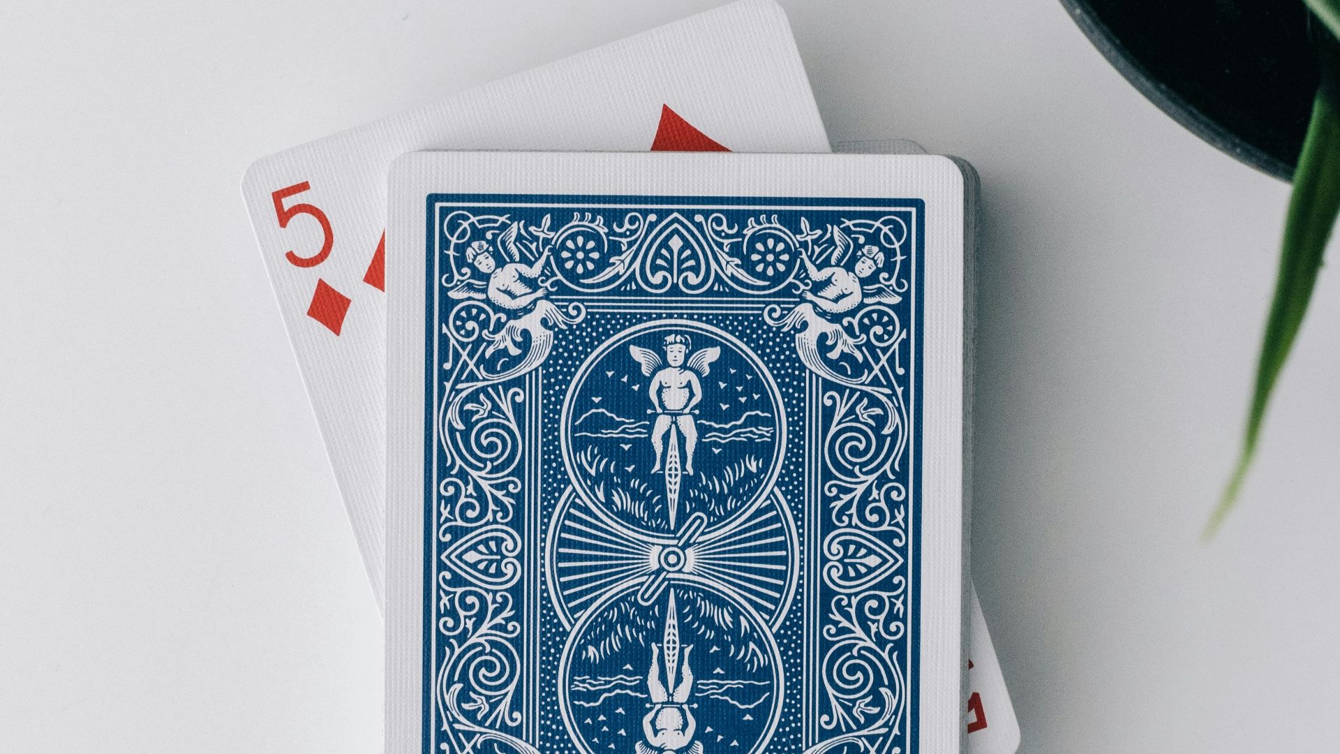 deck of playing cards