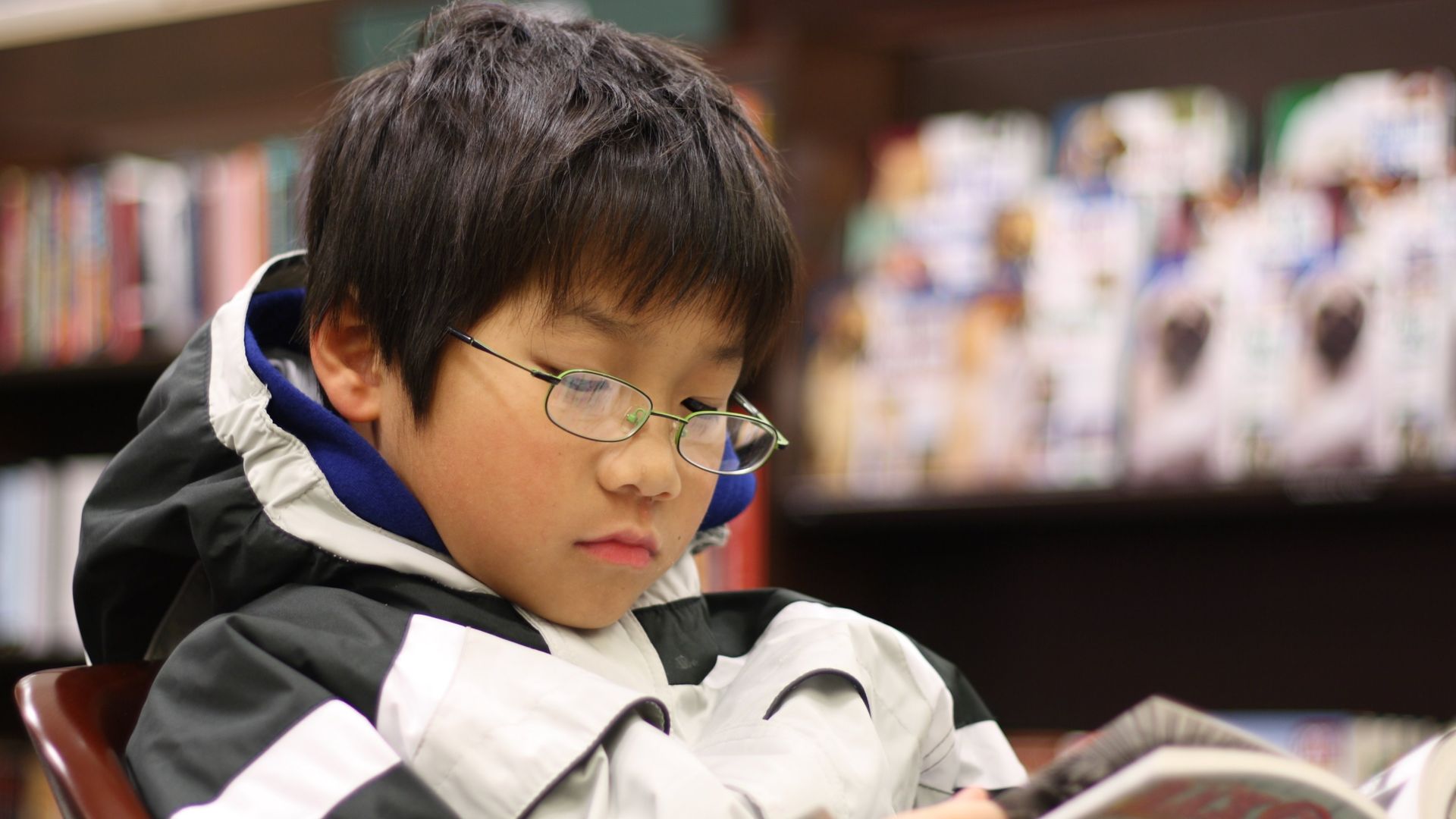 File:Young boy reading manga.jpg