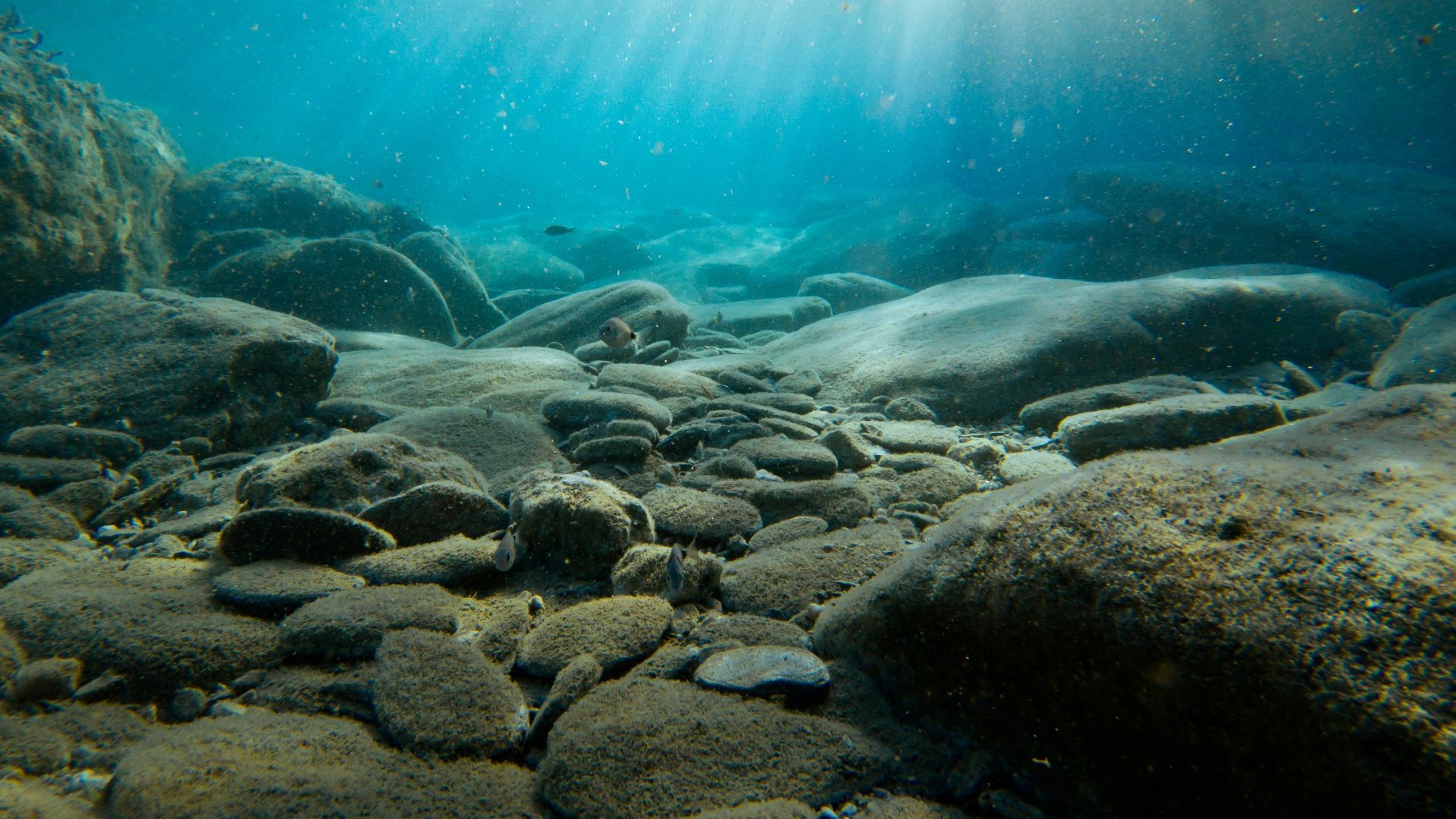 rocks on sea bed