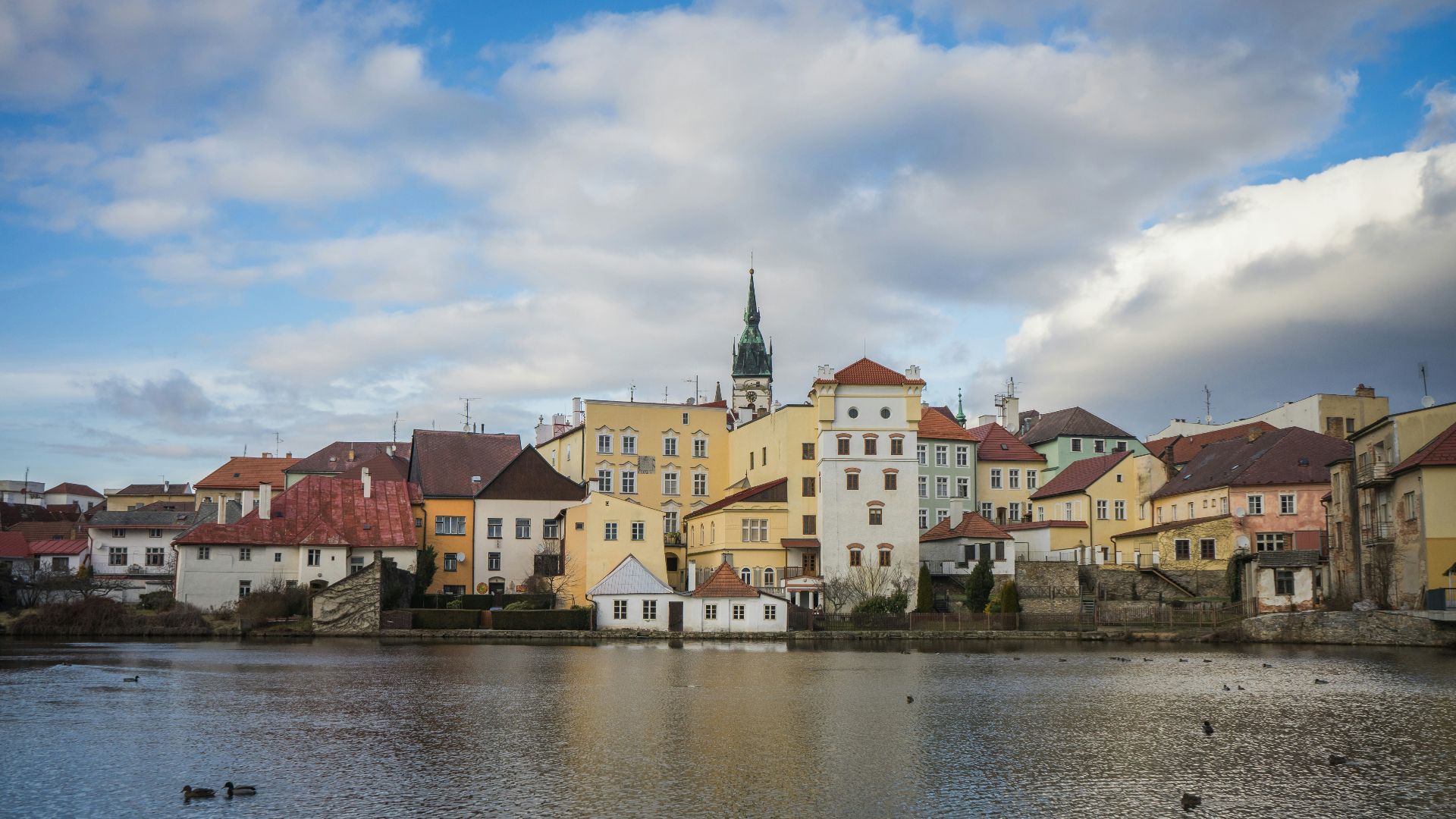 a group of ducks floating on top of a lake
