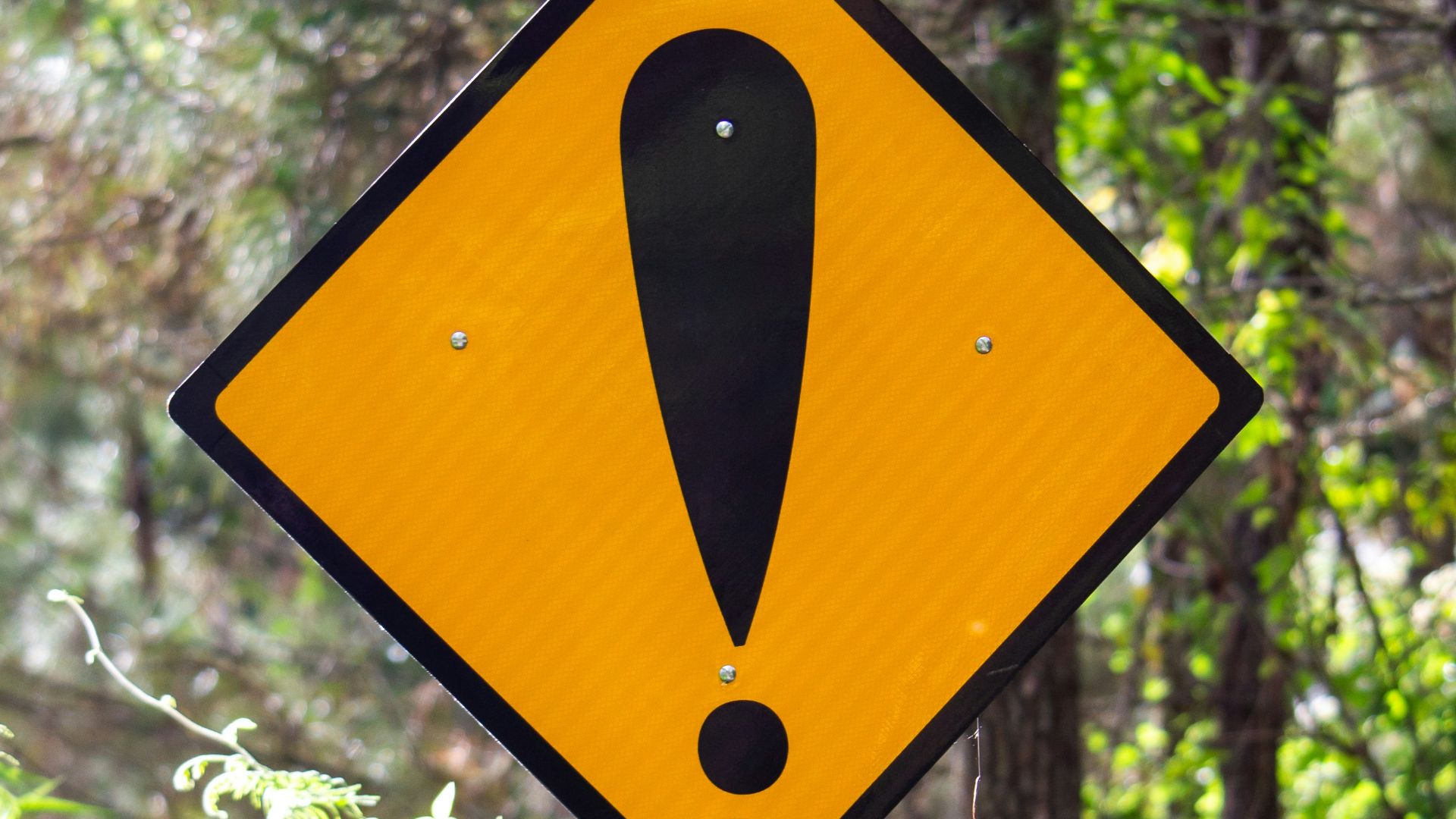 yellow and black road sign