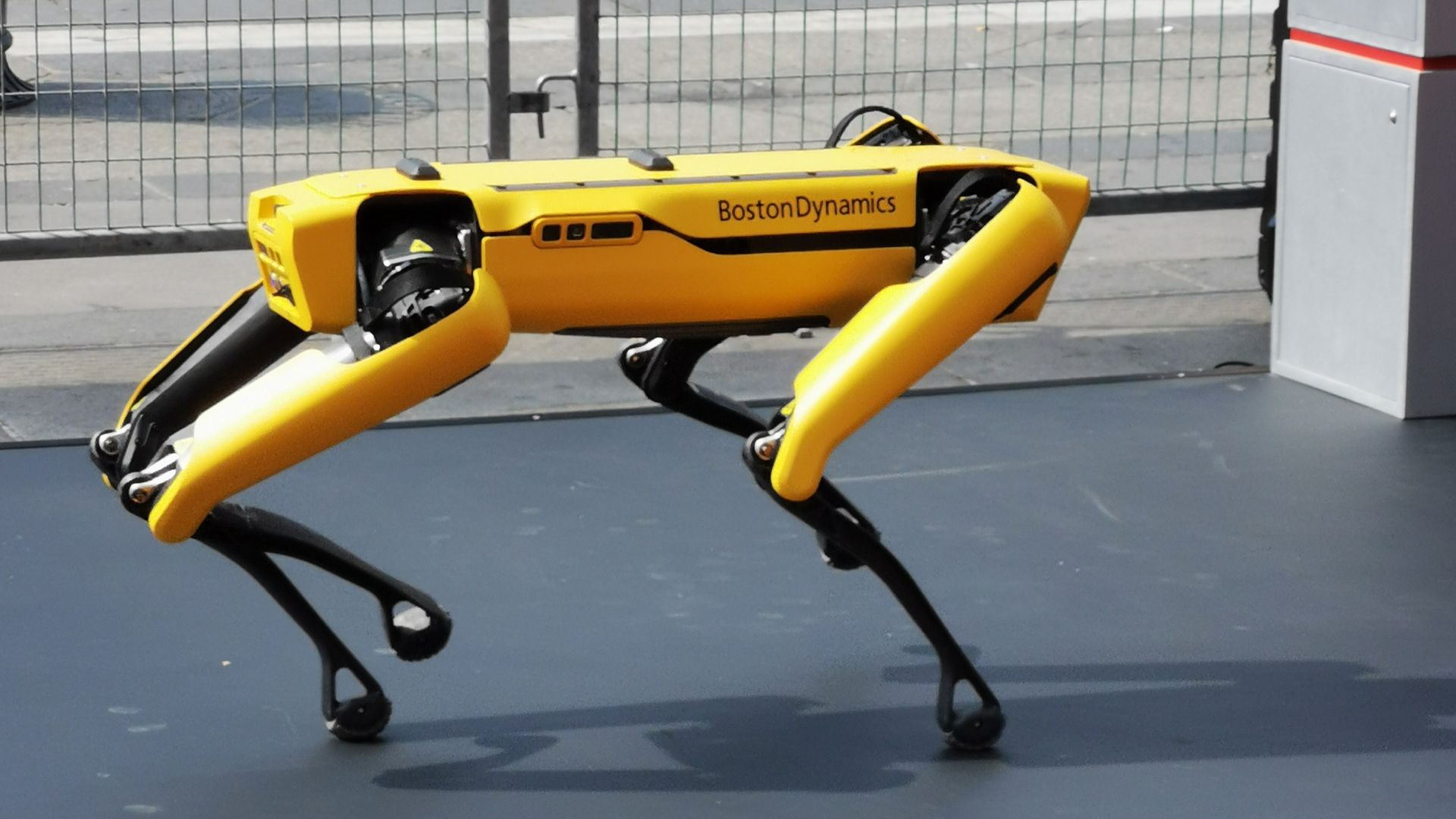 File:Boston Dynamics Spot in Milan.jpg