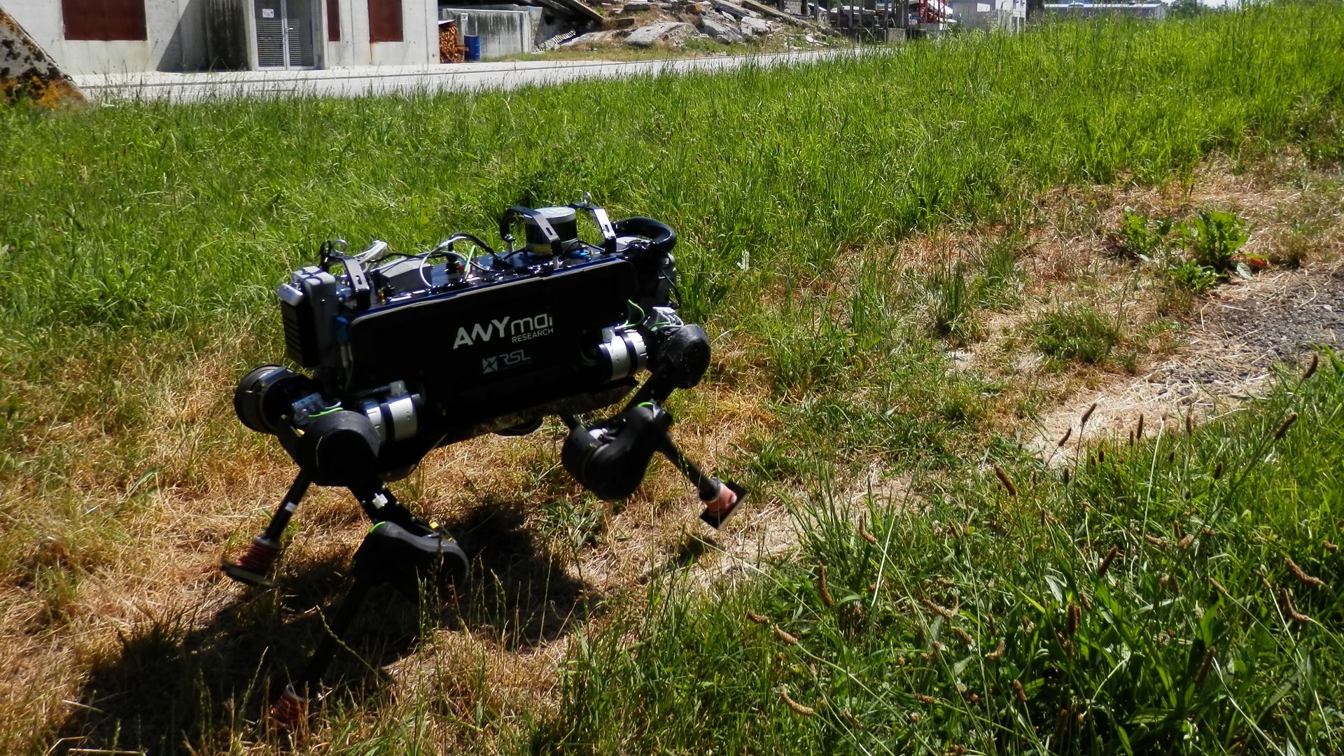 File:ANYmal ARCHE 2019 2.jpg