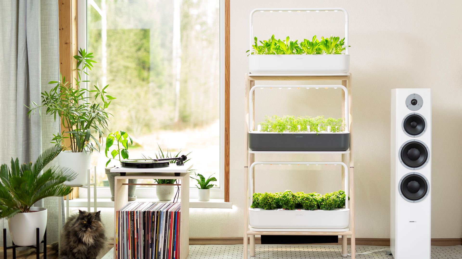 File:Click & Grow Smart Garden 27.jpg