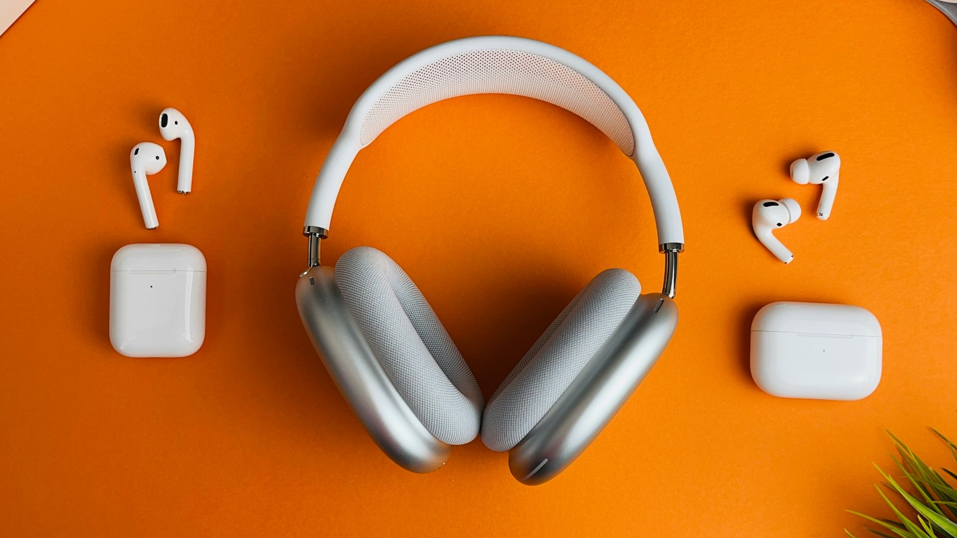 white and gray wireless headphones