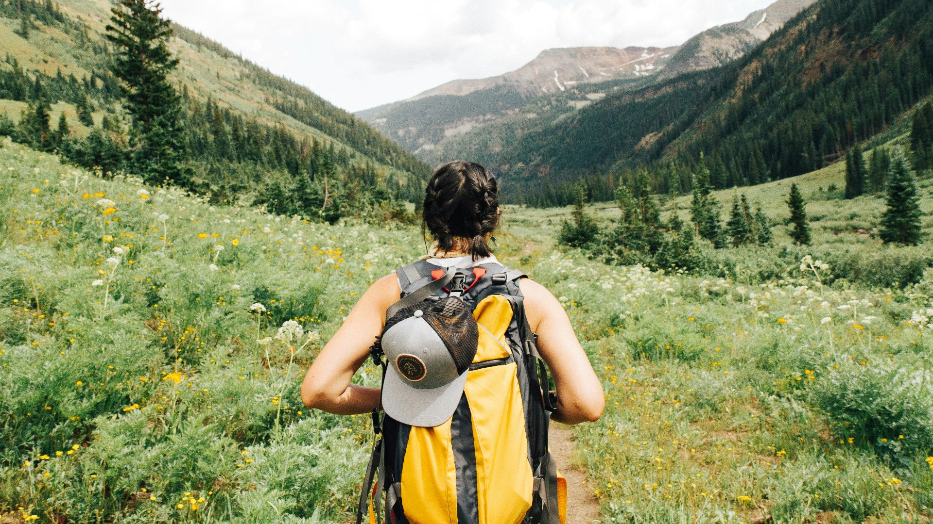 person carrying yellow and black backpack walking between green plants