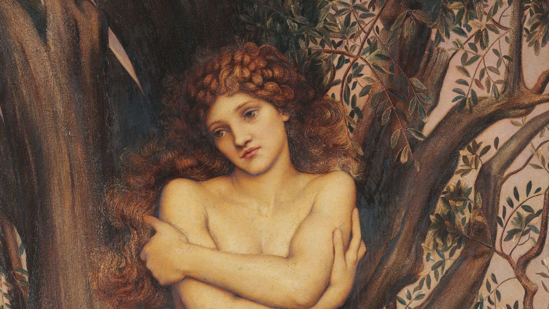 File:Dryad11.jpg