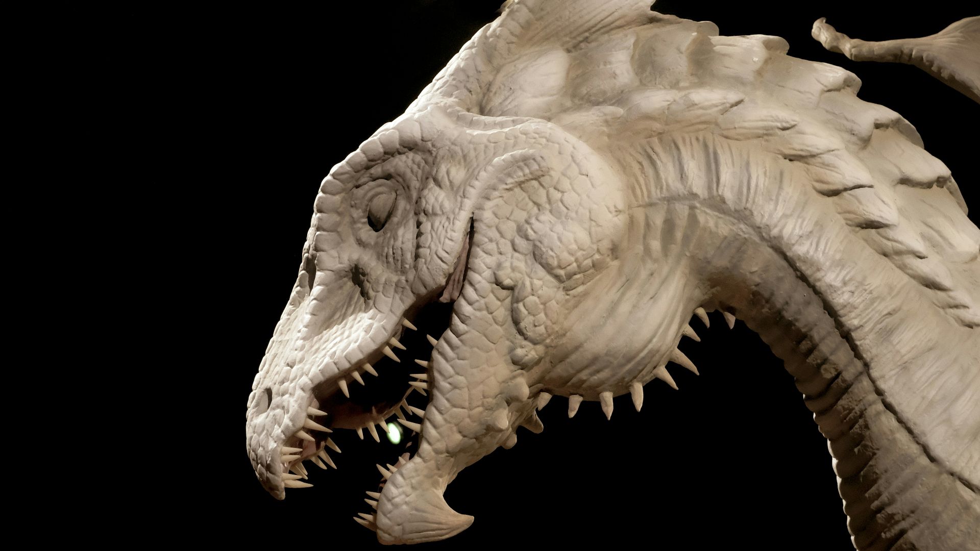 white and brown dragon head