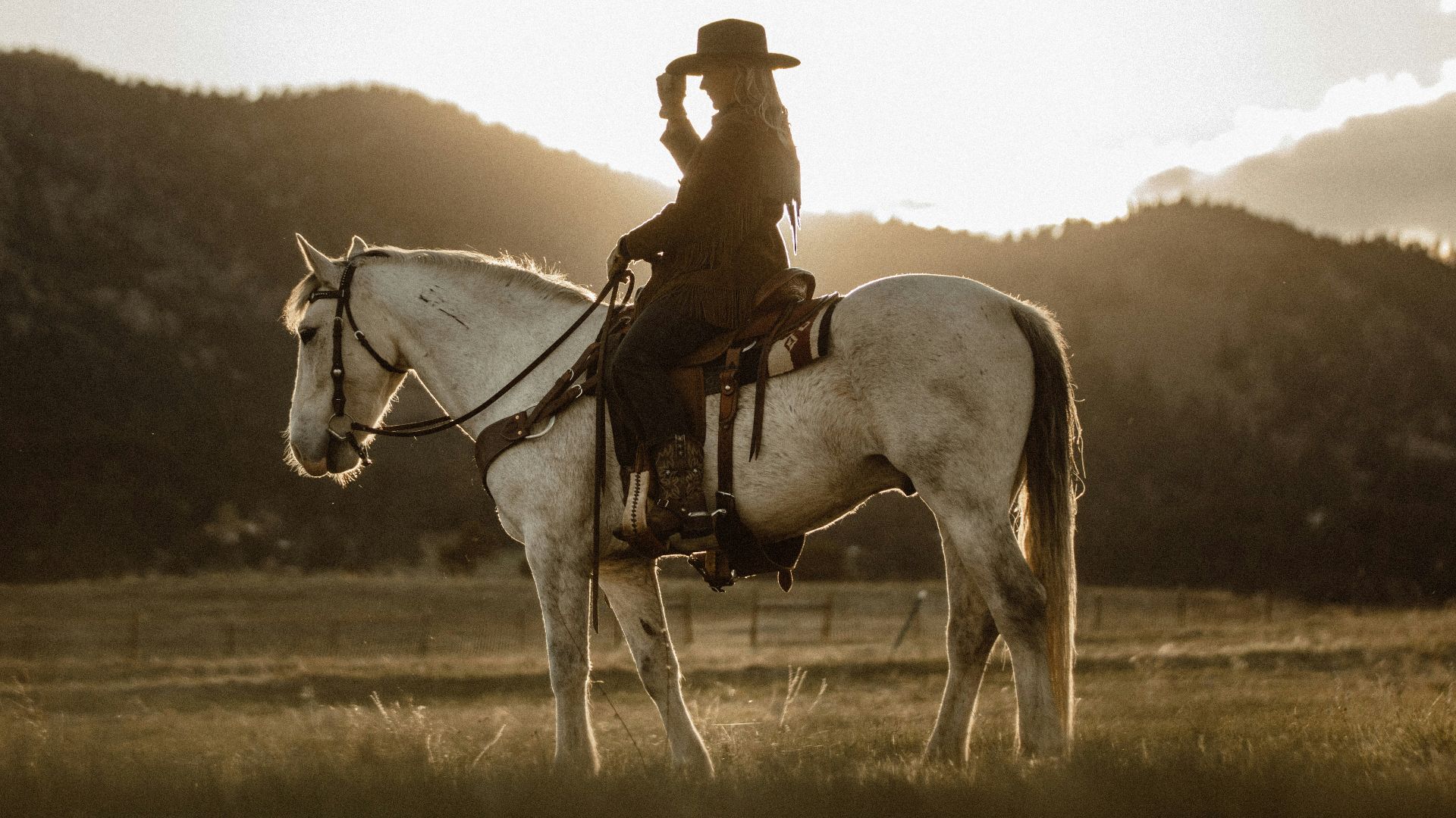 man riding on white horse during daytime