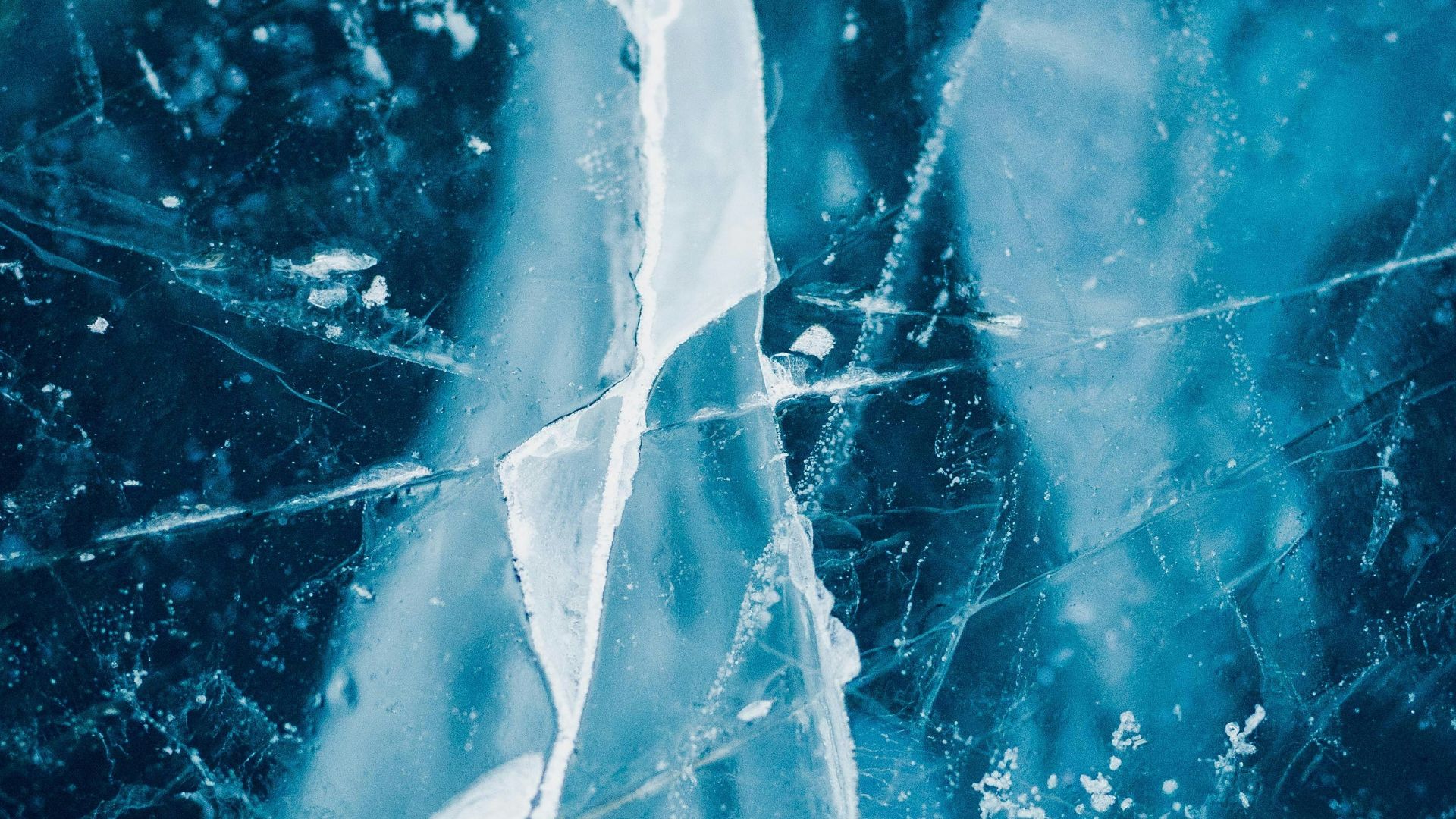 blue and white floral textile