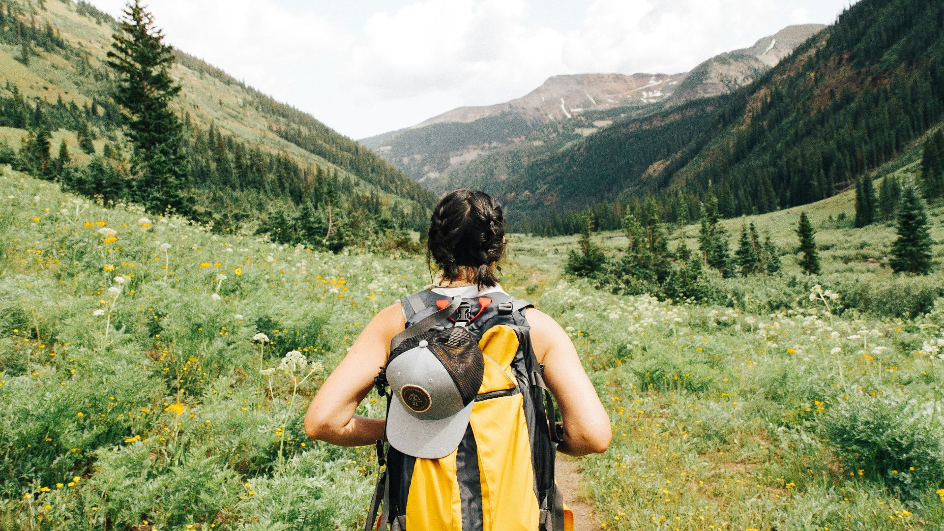 person carrying yellow and black backpack walking between green plants