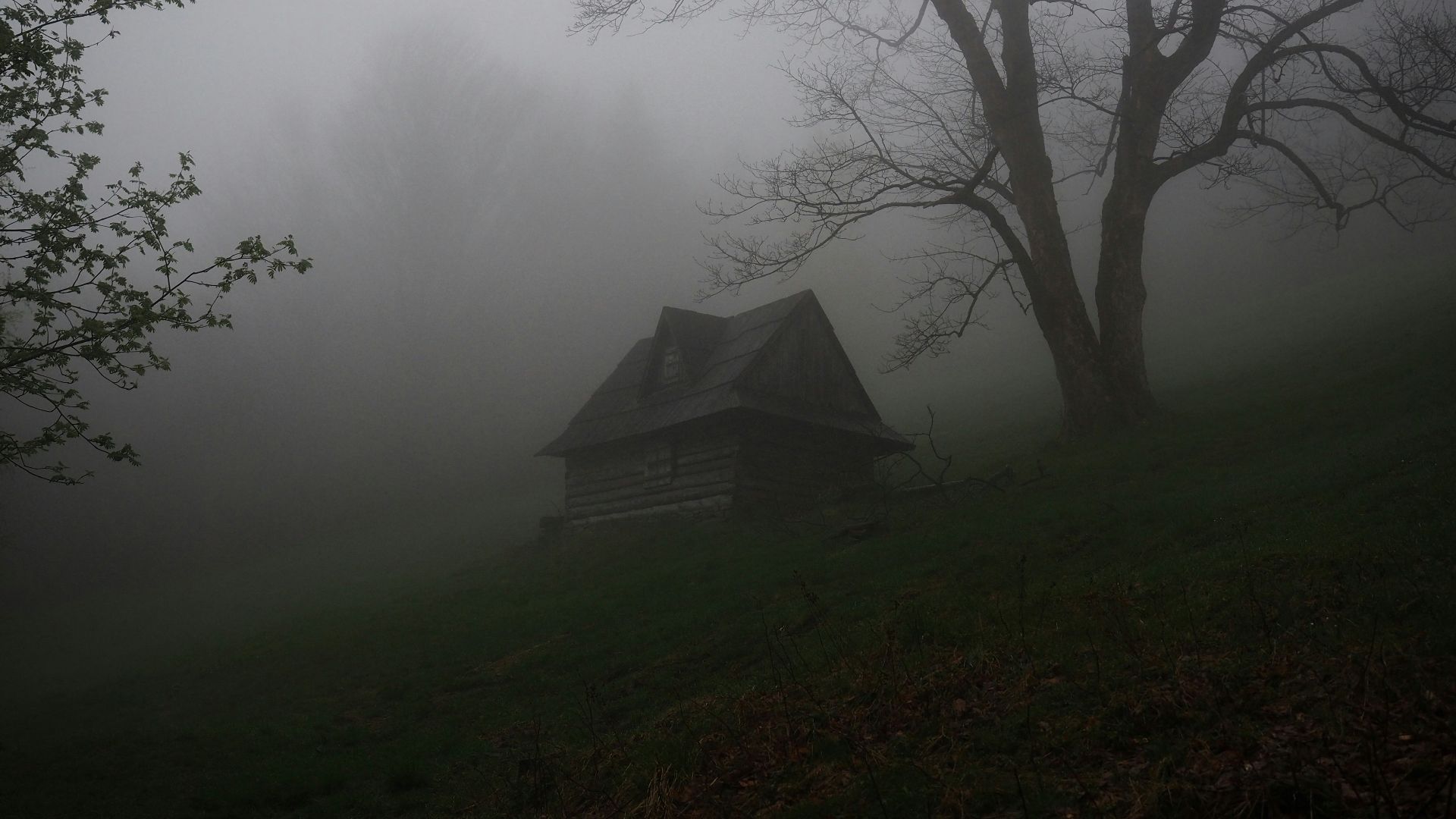 gray wooden house covered by fog