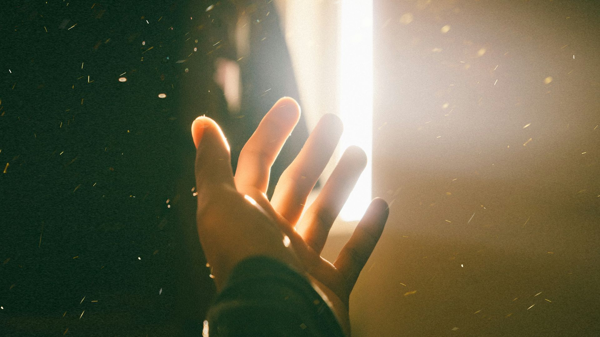 left human palm close-up photography