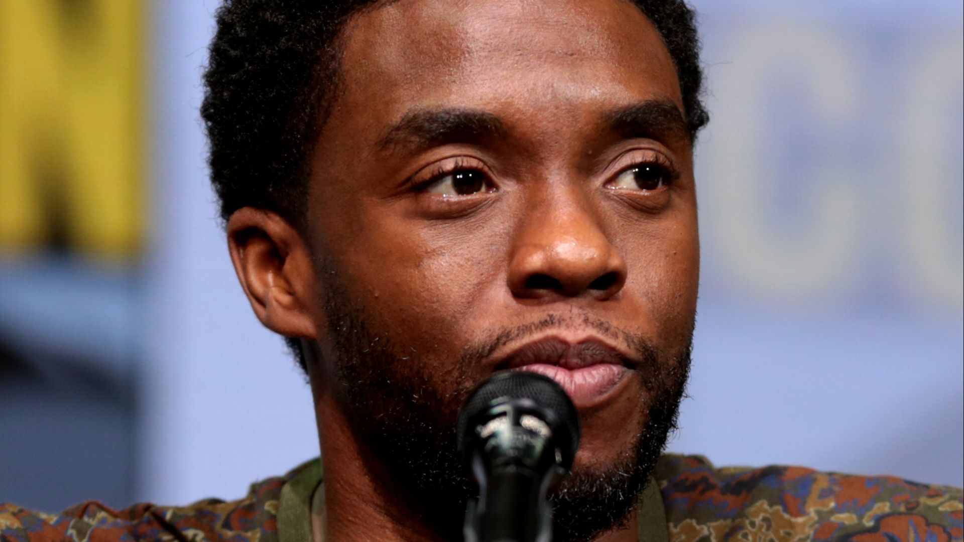 File:Chadwick Boseman by Gage Skidmore July 2017 (cropped).jpg