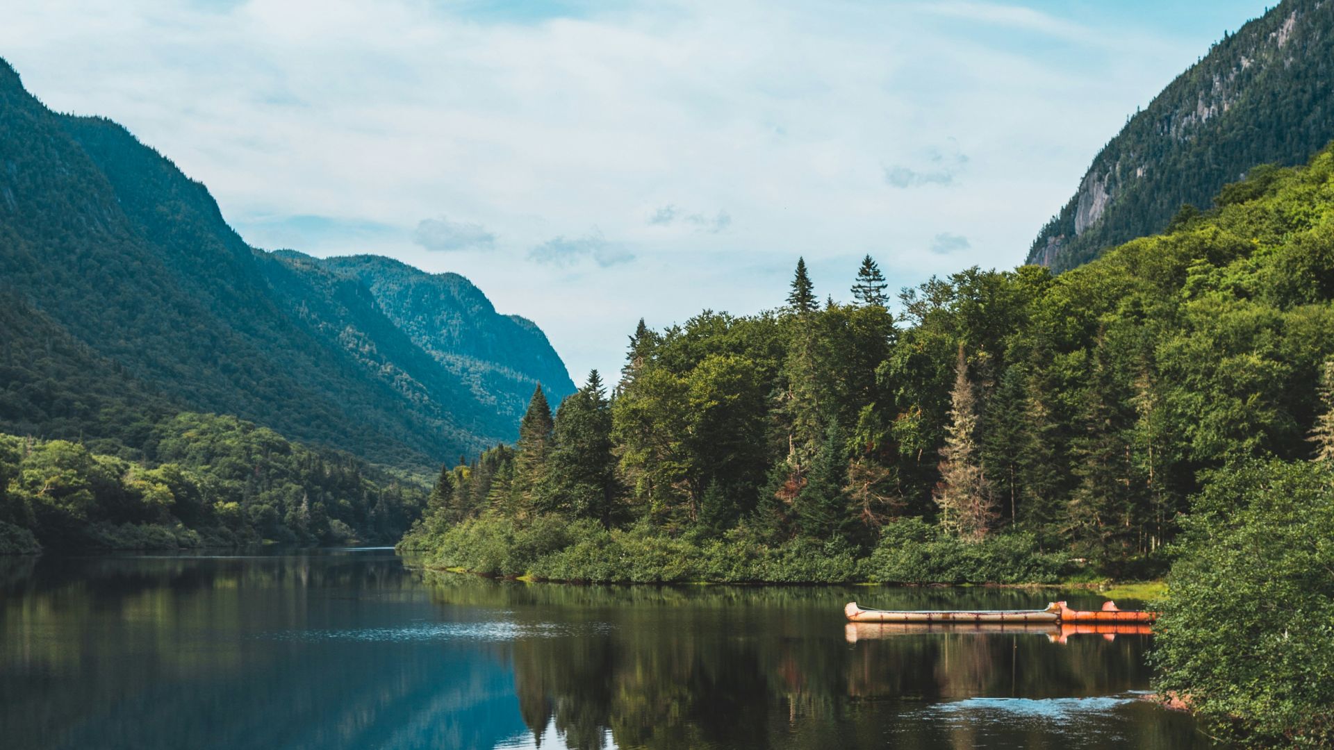 lake and trees